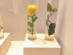 -广东中医药博物馆