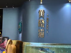 -黄晓猫剁椒大鱼头(海岸城店)