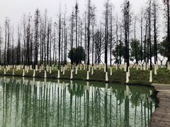 -乌村
