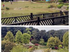 -铁山坪森林公园