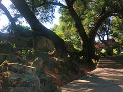 -青芝山风景名胜区