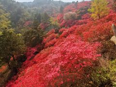 -木兰云雾山