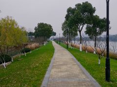 -羊山湖公园