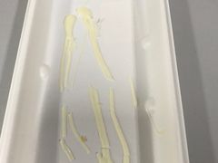 -奈雪的茶(沙坪坝印象汇店)