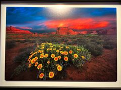 -罗红摄影艺术馆