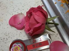 -海底捞火锅(吾悦国际广场店)
