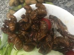 -夏家大锅台炖鱼馆