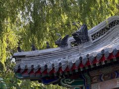 -莲池书院博物馆