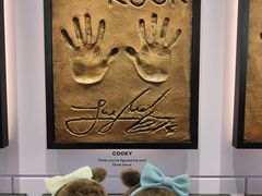 -line friends(明洞旗舰店)