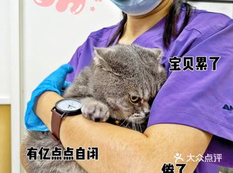 这家宠物医院，我家宝来了就不肯走了~