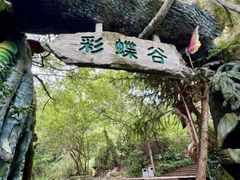 -天目湖山水园