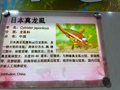 -上海大自然野生昆虫馆