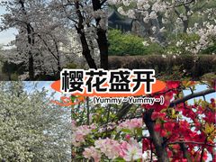 -西苑公园