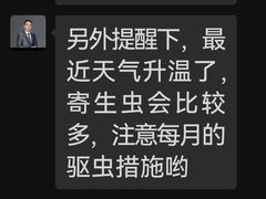 -瑞派名望志远动物医院·猫科·內科·异宠专科(直港大道店)