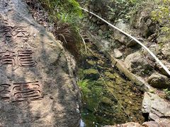 -午潮山国家森林公园