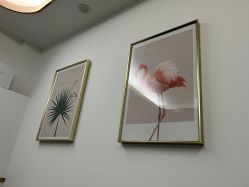 -西子佳媛·SPA养生会馆