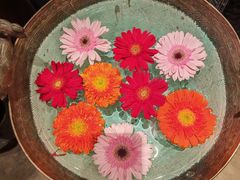 -花马天堂云南餐厅 Lost Heaven(外滩店)