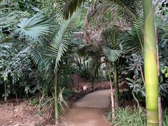 -呀路古热带植物园