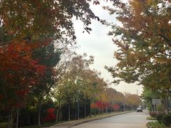 -太阳岛度假酒店