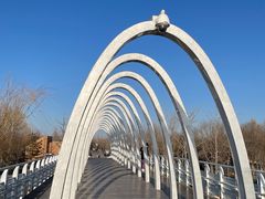 -大兴滨河森林公园