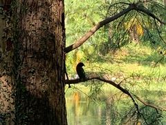 -华南国家植物园-售票处