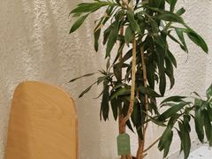 -Cafe on warm(丹霞店)