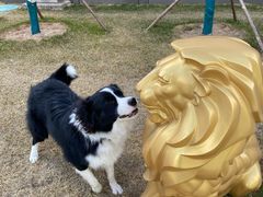 -1点点(宋家庄店)