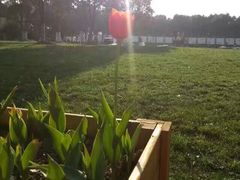 -昆山城市生态森林公园