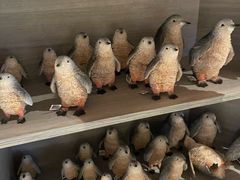 -企鹅岛