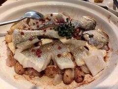 -大树餐厅(益田假日店)