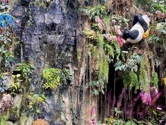 -正佳雨林生态植物园