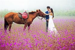 -伊诺摄影(徐州优选店)