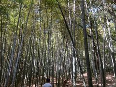-宝岩生态观光园