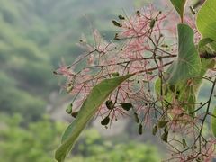 -黑龙潭风景区