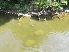 -梅峰山地公园