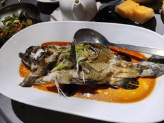 清蒸老虎斑-徐记海鲜(大明宫|北二环店)