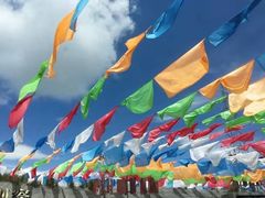 -青海茶卡盐湖文化旅游发展股份有限公司