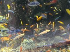 -太平洋海底世界