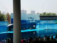 android_upload_pic-南昌动物园