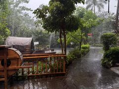 -花溪雨·森林餐厅(石基店)