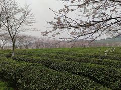-凤凰沟景区