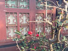 -峨眉山报国寺