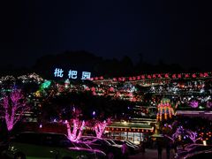 -枇杷园食为鲜火锅(南山店)