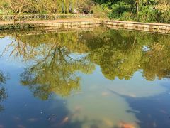 -西湖外事游船(花港观鱼码头)