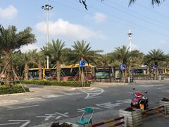 -万绿园