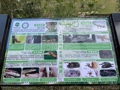 -海南热带雨林国家公园吊罗山景区