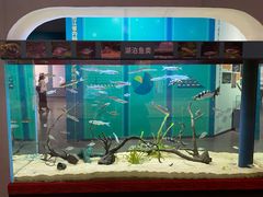 -浙江自然博物院(杭州馆)