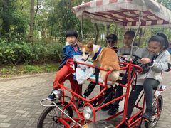 -上海海湾国家森林公园