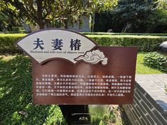 -洛阳周公庙博物馆