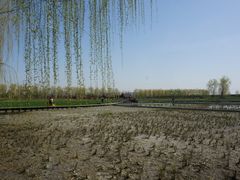 -永定河休闲森林公园